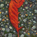 Red Leaf